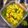 Chandra kamdar का कुकस्नैप जब उन्होंने आलू प्याज़ की सब्ज़ी (Aloo pyaz ki sabzi recipe in hindi) बनाया था।