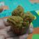Cooksnap dari weningmustika untuk resep Roti Kukus Gula Merah Pandan Anti Gagal