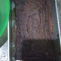 Cooksnap dari Taci Indriani untuk resep Brownies kukus chocolatos