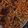 Akanksha Sharma's cooksnap of when they made Mexican Fried Rice.