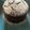รูป Cooksnap ของ NSPRIM เมื่อเขาทำ Chocolate cake