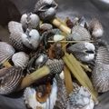 Cooksnap dari Fitri Wijayanti untuk resep Kerang Dara Rebus