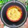 Cooksnap dari De_Bo untuk resep Resep Quiche tanpa Cream. Gampang banget