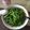 兔子阿姨 的 清炒地瓜葉 cooksnap