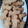 La cooksnap de Judith Bocos 🐾 cuando cocinó Gingerbread Man Cookies (Galletas de hombre de jengibre)