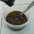 Susan Juncos 's cooksnap of when they made Salsa de Soya con Chiles Toreados.