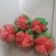 Cooksnap dari Vivin Indriana untuk resep Bolkus karakter strawbery (#pr_recookanekabolkus)