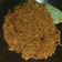 Cooksnap dari Ummu Ibrahim untuk resep Sambal Goreng Usus