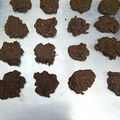 Cooksnap dari Shinta Amalia untuk resep Choco Cheese Cookies ala Rantie (Keto Friendly)
