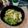 Cooksnap dari DEWI SARASWATI untuk resep Tumis Sayap Ayam Cabe Ijo