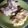 El cooksnap de Mariana Morales cuando hizo Salsa de hongos.