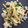 El cooksnap de Aurora Revenga Diaz cuando hizo Bacalao a la dorada.