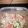 diva32's cooksnap of when they made Healthy Cilantro Lime Tuna Salad.