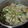 Cooksnap dari Indah Hidayanti untuk resep Sayur Sop Sosis