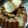 Cooksnap dari Evening Glory untuk resep Bolu Sukade