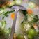 Cooksnap dari Vania Mahdicka E untuk resep Sop Bihun Oyong