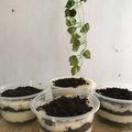 Cooksnap dari Lia Nurmaris untuk resep Oreo cheesecake lumer mudah dan murah