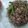 Cooksnap dari Bundo Pujay untuk resep Tumis buncis siram daging cincang