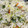 Anamta Azeem's cooksnap of when they made Chicken Shashlik with egg fried rice.