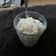 El cooksnap de Angie Chaves Campos cuando hizo Arroz con leche Pinito.