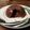 Cooksnap dari Arin Yunira untuk resep Pudding choco lava kekinian