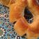 صورة من Fatima, kitchen&cook ، شاركها بعد تجربة وصفة طريقة عمل كعك بعجوة
