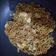 Cooksnap dari queenaralia untuk resep Mie goreng simpel