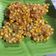 Cooksnap dari Yunita Yesi untuk resep Bakwan Jagung Renyah
