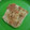 Cooksnap dari Aninditia Sabdaningsih untuk resep Mozarella Garlic Bread