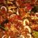 Cooksnap dari wiwid rizqi untuk resep Cumi - cumi sambal ekstra pedas