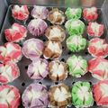 Cooksnap dari Bu Erte untuk resep Bolu Kukus Mekar Coklat Pandan