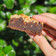 El cooksnap de Ayelen Marcos cuando hizo Brownie de porotos negros: sin gluten, sin lácteos, sin huevo.