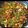 Sonal Modha's cooksnap of when they made કાજુ કારેલા નું શાક (Kaju Karela Shak Recipe In Gujarait).