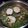 El cooksnap de Isabel Casi cuando hizo Merluza con almejas y gambones en salsa verde.