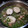 El cooksnap de Isabel Casi cuando hizo Merluza con almejas y gambones en salsa verde.