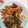 Cooksnap de chantal voisenat sur la recette ☆Escalopes milanaises☆