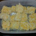 Cooksnap dari Umi hani'ah untuk resep Nugget ayam sayur