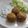 El cooksnap de Pilar Rodríguez cuando hizo Falafel.