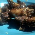 รูป Cooksnap ของ Thivakorn Norsiha เมื่อเขาทำ ผัดซี่โครงหมูซีอิ้วดำ