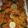 Amber Fawad's cooksnap of when they made Karachi famous Biryani.