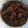 Cooksnap dari Anggun Dwi Lestari untuk resep Bistik daging sapi simple