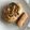 El cooksnap de Ester Pujol cuando hizo Buey de mar relleno.