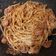 Cooksnap dari Lily Octavia untuk resep Spaghetti Bolognese