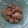 Cooksnap dari Ika Laura untuk resep Pentol (bakso) Sapi