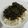 Cookingwithseki 's cooksnap of when they made White rice and vegetable sauce.