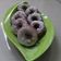 Cooksnap dari Inna untuk resep Donat Ubi Ungu Empuk Banget