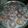 El cooksnap de Enana Belen cuando hizo Rosquitas materas!!.