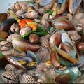Cooksnap dari dewi Isriani untuk resep Sop Kerang Dara lezat dan Enak