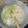 Cooksnap dari Adi Purnomo untuk resep Sayur bobor lobor (sawi hijau)