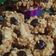 Cooksnap dari Francisca Vera Kurniawatie untuk resep Choco Thumbprint